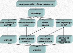 Структура управления организации